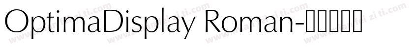 OptimaDisplay Roman字体转换